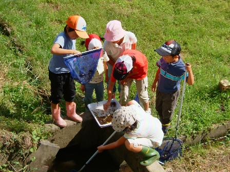 生き物調査をする子供たち