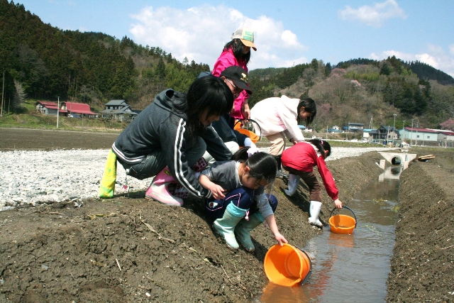 メダカをそっと水路に放流する子供たち