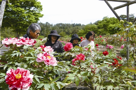 カラフルな花々に見入る来場者