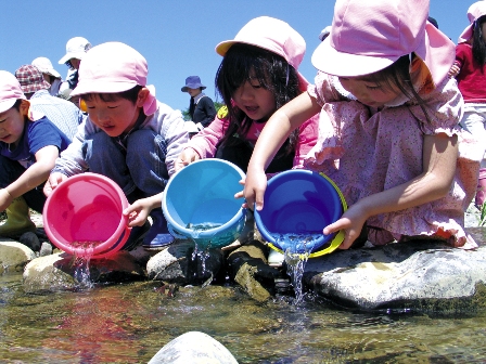 魚の稚魚をそっと川に放つ園児たち