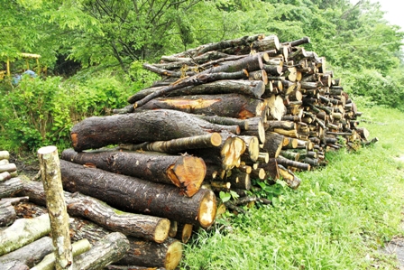 山林から切り出された木材