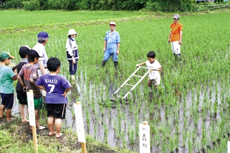 手押し除草機のこつを教えてもらい体験する小学生