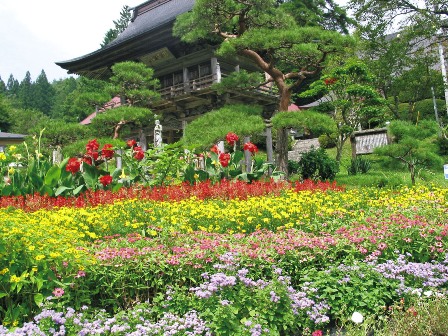 花壇奨励賞 中野台サロン（大東）