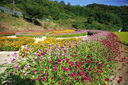 竹沢集落振興会（東山）