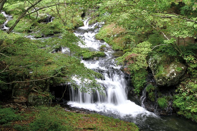 深山幽谷を思わせる流れ