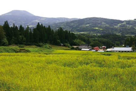 良質米の産地