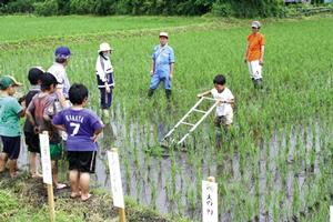 農作業体験をする子どもたち