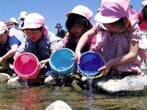 磐井川でアユの稚魚放流の様子