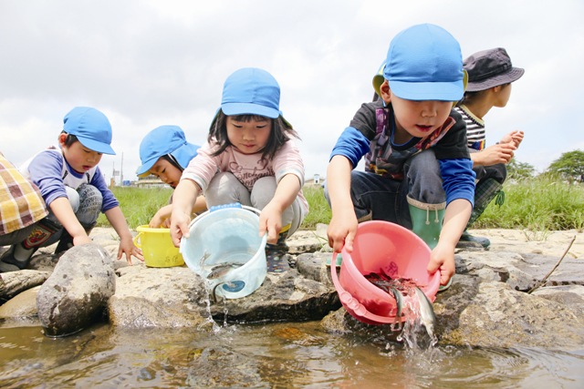 成長願い稚魚を放流