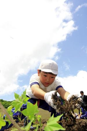 植樹祭の様子