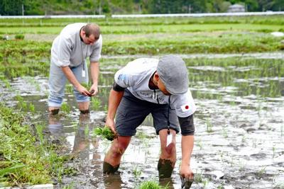 悪戦苦闘しながら田植えをするNGOオールハンズメンバー