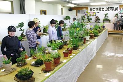 丹精込めて育てられた作品を鑑賞する来場者