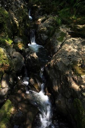 刈生沢の滝渓流公園（花泉）