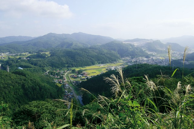 唐梅館からの眺め（東山）の画像