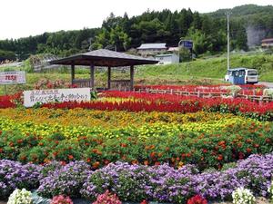 花壇、教育長賞：田茂木自治会（室根）