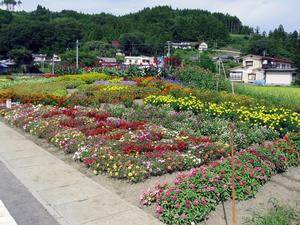 花壇、教育長賞：高成自治会（川崎）