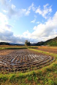 中世から変わらない小区画水田