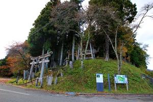 鎮守の森に建つ駒形根神社