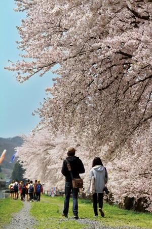 磐井川緑地公園（一関）