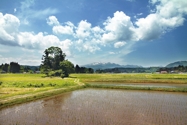 本寺から望む名峰須川岳