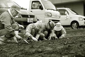 早朝から花苗を植える「長久会」の会員