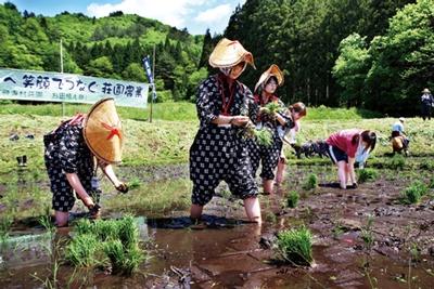 骨寺村荘園お田植え体験交流会の早乙女