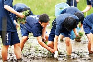 千厩高校の田植え大会