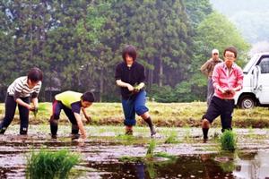 国学院大生と地区住民らによる小区画水田の田植え