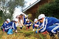 花泉町涌津小5年生児童は総合的な学習の時間で米を栽培