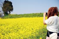 菜の花畑を写真に納める八戸市の沢田薫さん