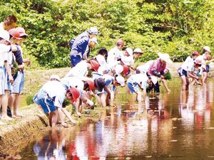 大東小の田植え行事