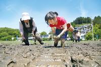 田植えさなぶり交流会