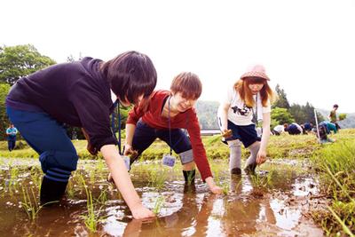 小区画水田で田植えを体験する国学院大の学生