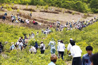 植樹作業の様子