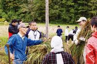 骨寺村荘園小区画水田稲刈り体験交流会