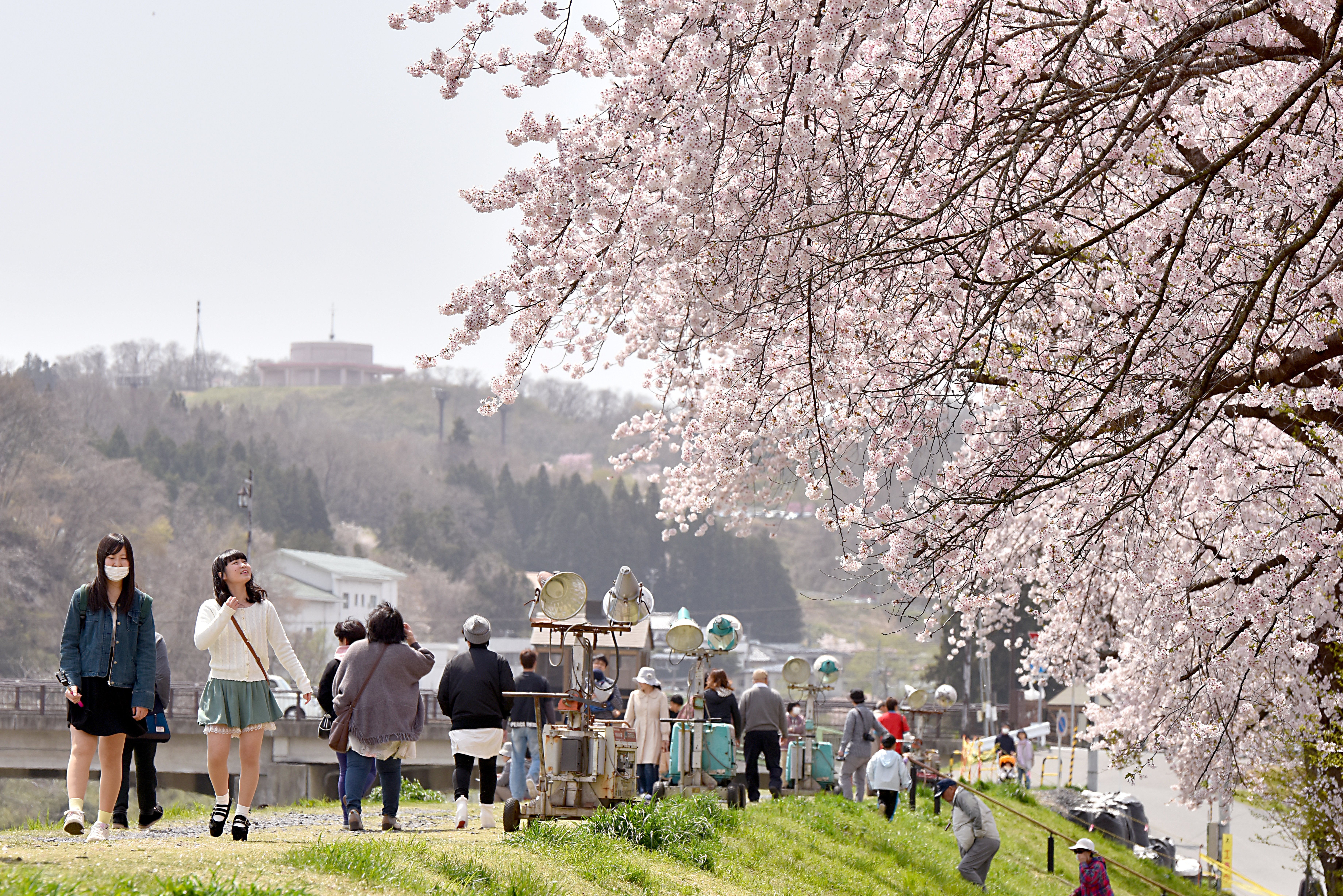 画像　磐井川堤防