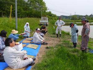 田んぼで農家の皆さんと懇談