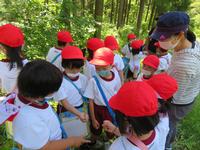 校外学習1年、唐梅舘公園。自然の宝物をみつけたよ。