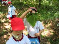 校外学習1年、唐梅舘公園。葉っぱで返信。