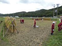 稲刈り。全部刈り取りました。