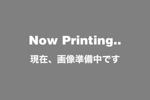 ここに必ず画像の説明を記述すること(全盲者への対応)