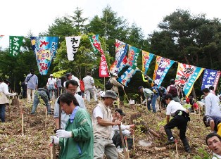 大漁旗がはためく中行われる「森は海の恋人」植樹祭。14年間で延べ8800人が参加し、初期に植えた苗木は枝葉を広げ「森」に育った