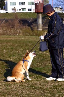 心安らぐ愛犬との散歩。でも、犬の「落し物」はくれぐれも持ち帰りを