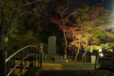 釣山公園紅葉