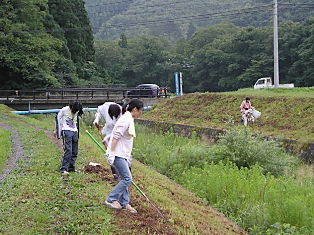 現地調査に先立ち、地元住民を中心に岩手大生、市職員などのボランティアが草刈りを実施