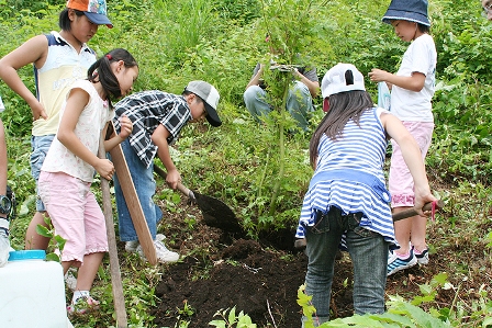 吉川市からホームステイに訪れた5人は室根山でヤマモミジを植樹。丁寧に土をかけ、最後に記念の標柱を立てました