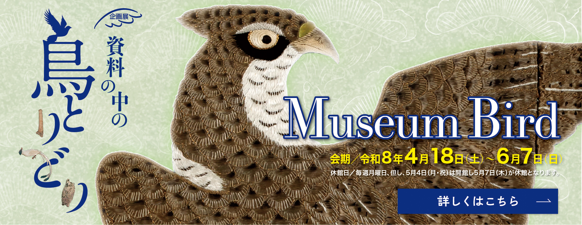 資料の中の鳥とりどり