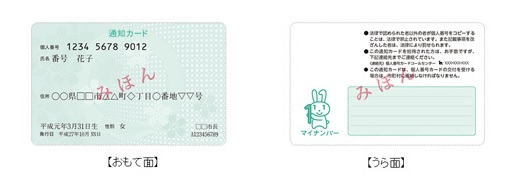 マイナンバー通知カードの見本写真