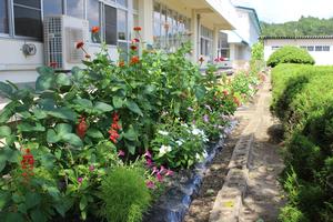 一関市立黄海小学校の花壇