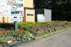 曲田自治会の花壇